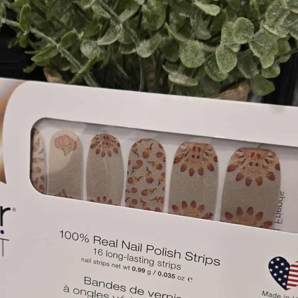 Color Street- Feathered friends Thanksgiving set - Picture 1 of 1